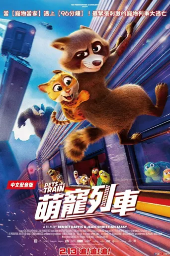 宠宠特快海报
