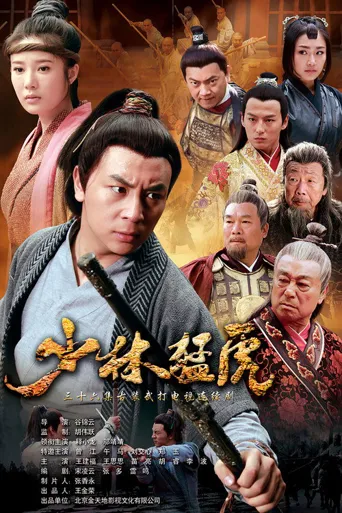 武林猛虎海报