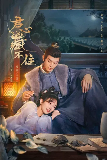 君心藏不住海报