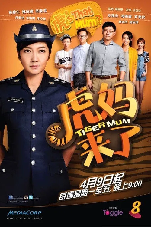 虎妈来了海报