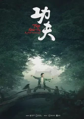 功夫海报
