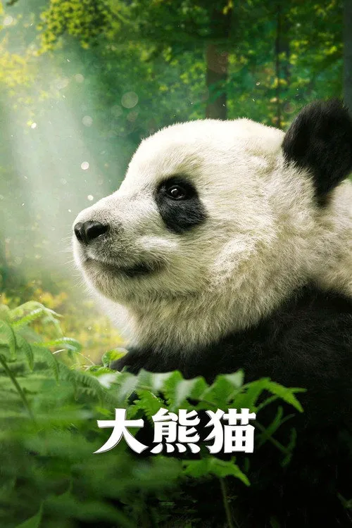 大熊猫海报
