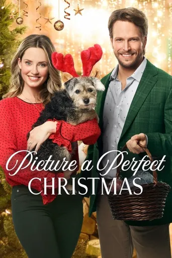 Picture a Perfect Christmas海报