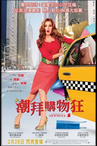 一个购物狂的自白海报