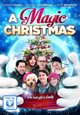 A Magic Christmas海报