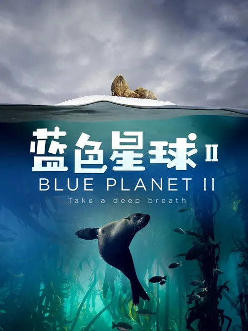 蓝色星球 2 第 1 季海报