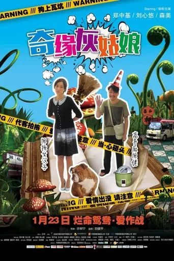 奇缘灰姑娘海报