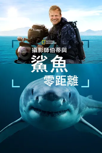 摄影师贝尔蒂与鲨鱼零距离海报