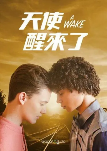 一次觉醒海报