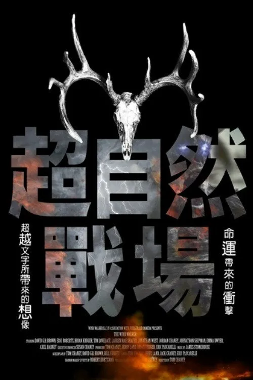 风行者海报