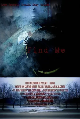 Find Me海报