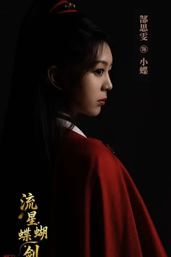 流星·蝴蝶·剑 第 1 季海报