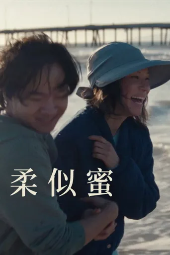 柔似蜜海报