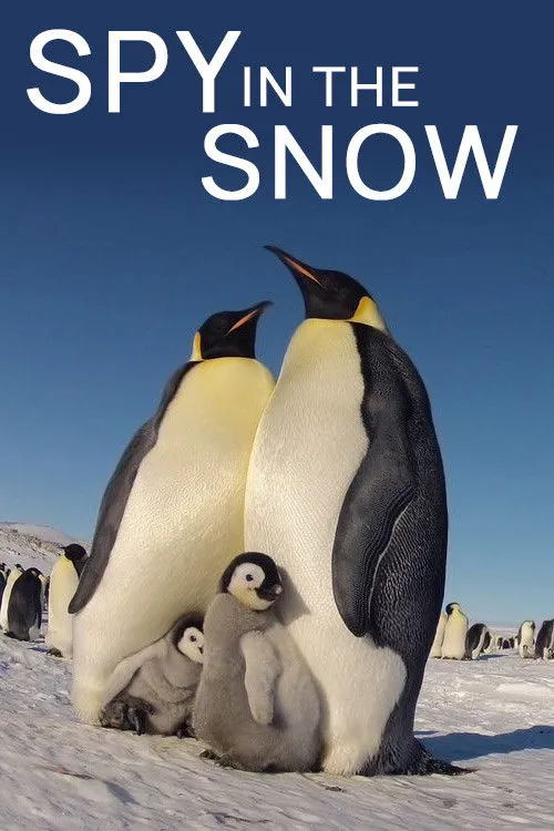 冰雪间谍海报