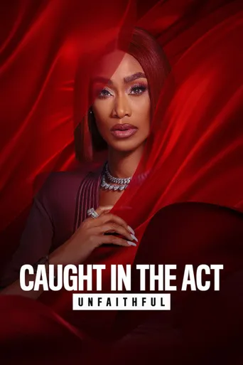 Caught in the Act: Unfaithful 第 4 季海报