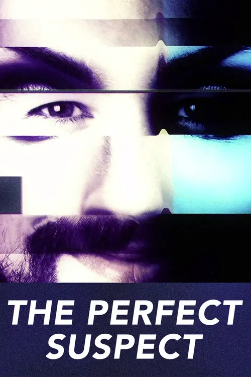 The Perfect Suspect 第 1 季海报