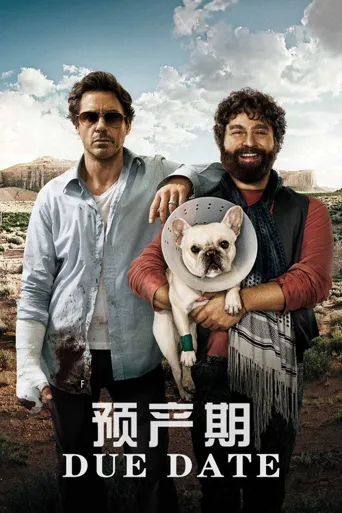 预产期海报