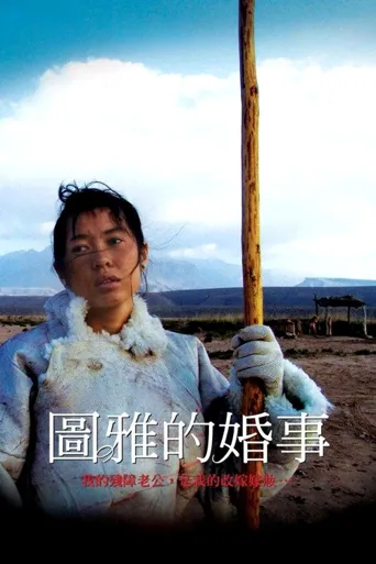 图雅的婚事海报