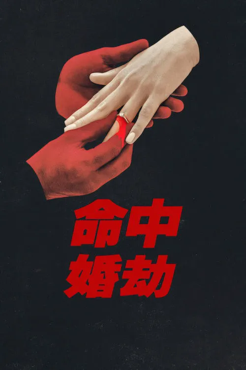 命中婚劫海报
