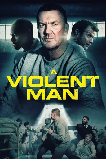 a violent man海报