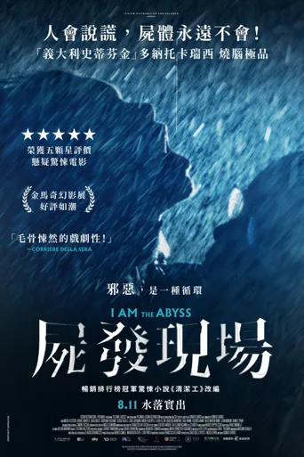 我是深渊海报