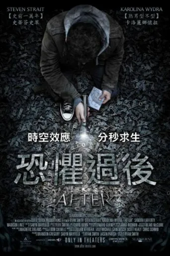 车祸之后海报