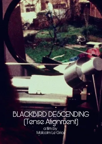 Blackbird Descending海报