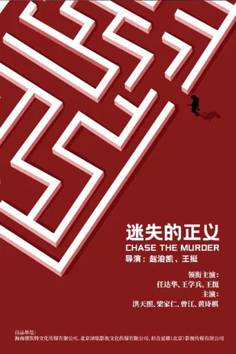 迷失的正义海报