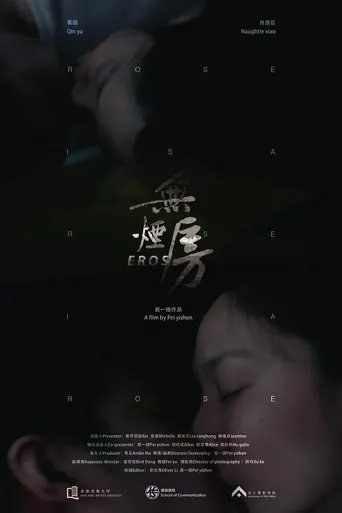 无烟房海报