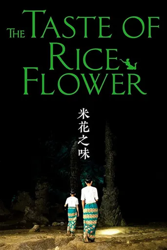 米花之味海报