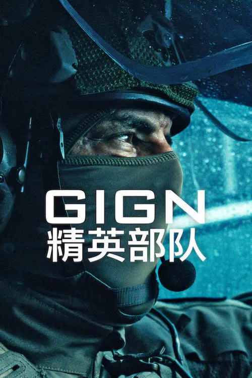 精英部队海报