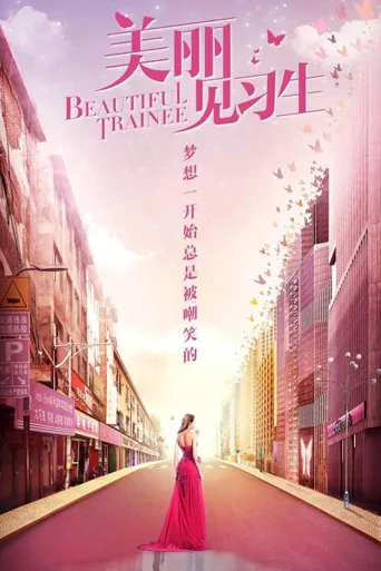 美丽见习生海报