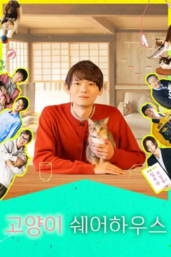 猫物件海报