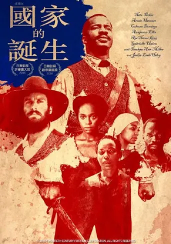 一个国家的诞生海报