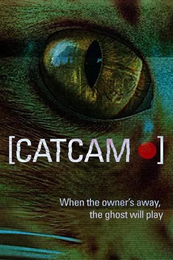 猫咪摄像头海报