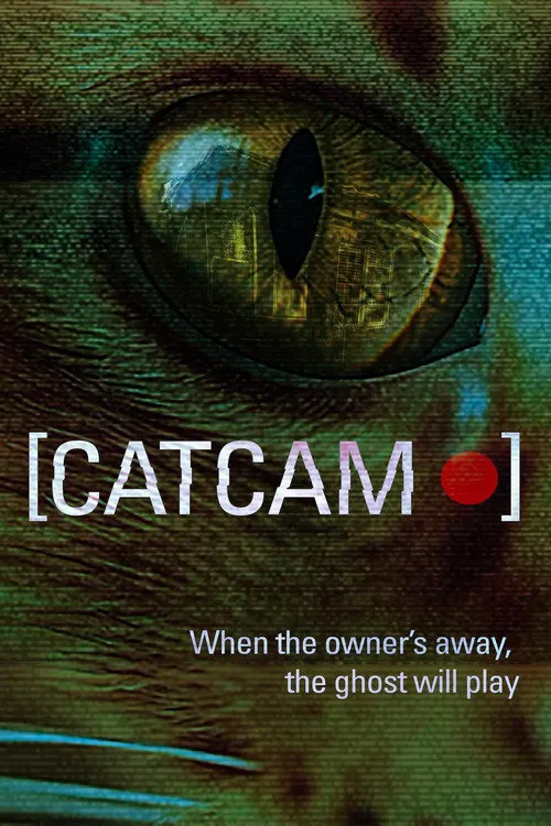 猫咪摄像头海报