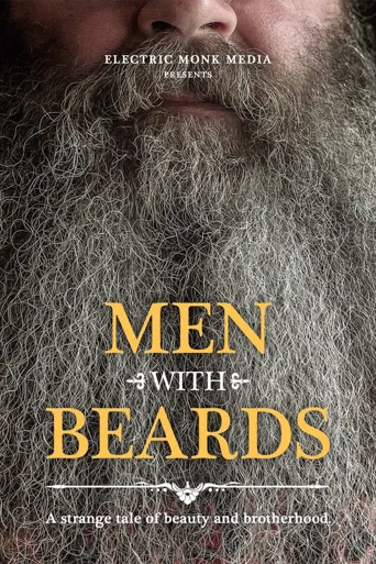 Men with Beards海报