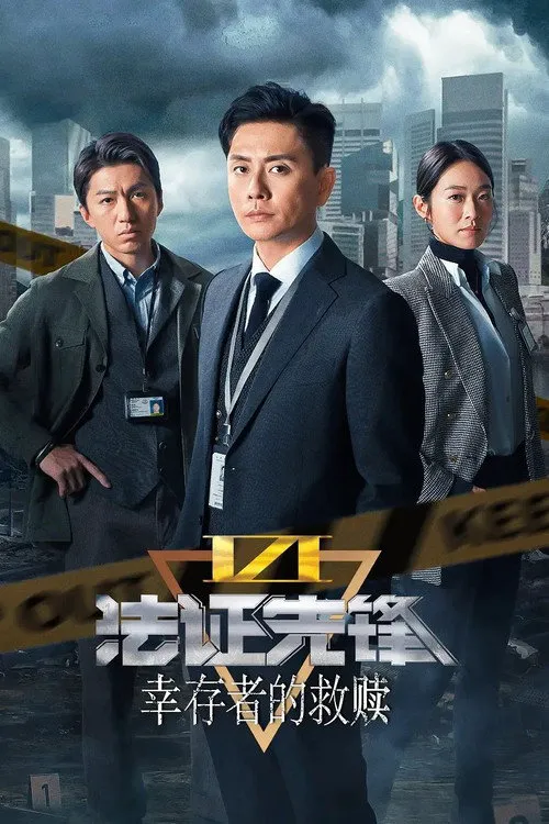 法证先锋3海报