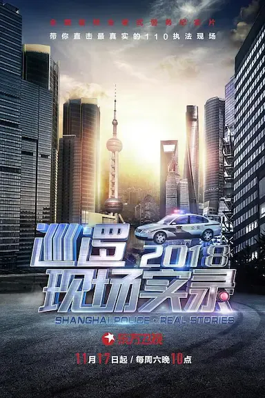 巡逻现场实录2018海报