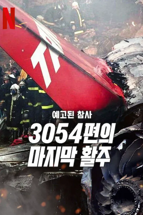 悲剧预言：巴西3054航班空难海报