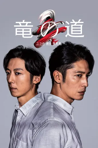 龙道 双面复仇者海报