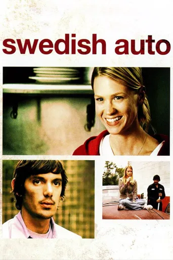 Swedish Auto海报