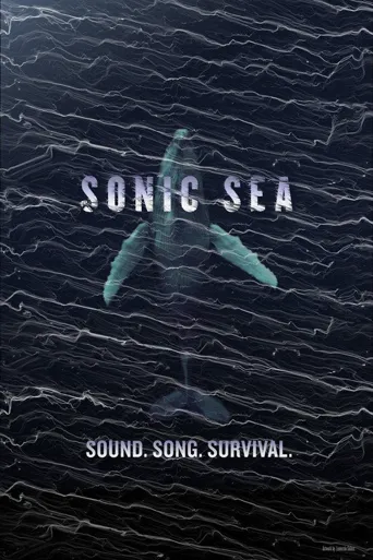 噪音海洋海报