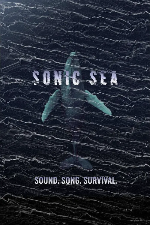 噪音海洋海报