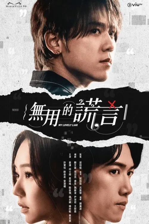 无用的谎言海报