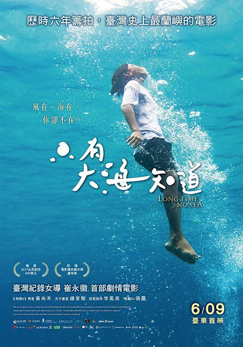 只有大海知道海报