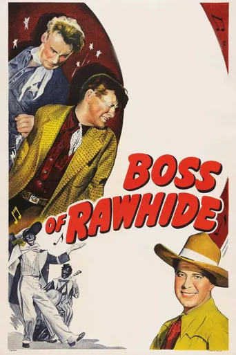Boss of Rawhide海报