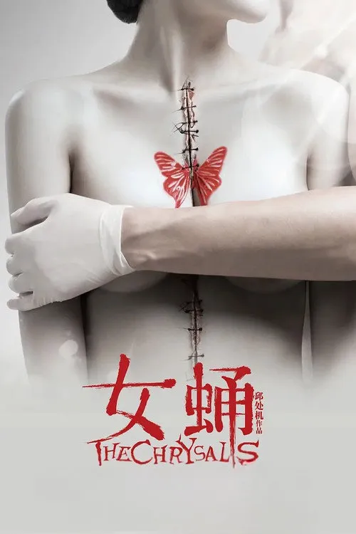女蛹海报