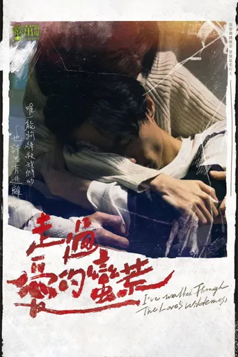 走过爱的荒蛮海报