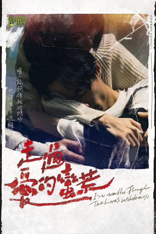 走过爱的荒蛮海报